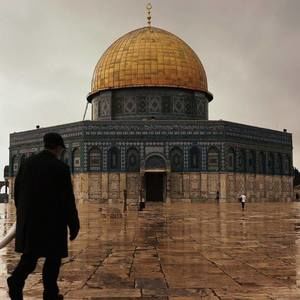 Meet your Posher, Dodin